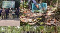 IMG-20260510-WA0010